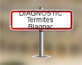 Diagnostic Termite AC Environnement  à Blagnac
